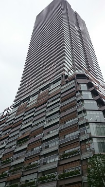 DSC_0504.JPG